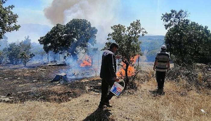 Ayvacık'ta Zirai Alanda Yangın Çıktı