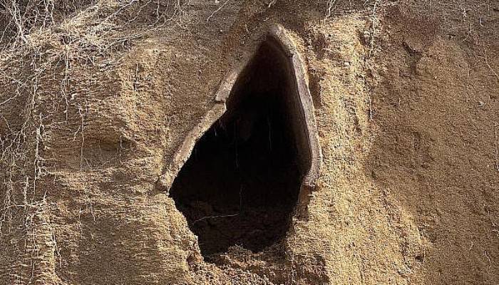 Bozcaada'da 1500 Yıllık Kiremit Mezar Ortaya Çıktı 