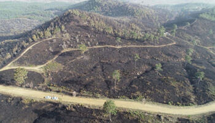 Bayramiç'teki Orman Yangını 18 Saatte Kontrol Altına Alındı