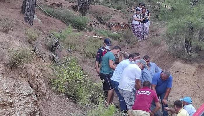 Orman İşçisi, Kestiği Ağacın Altında Kalarak Öldü