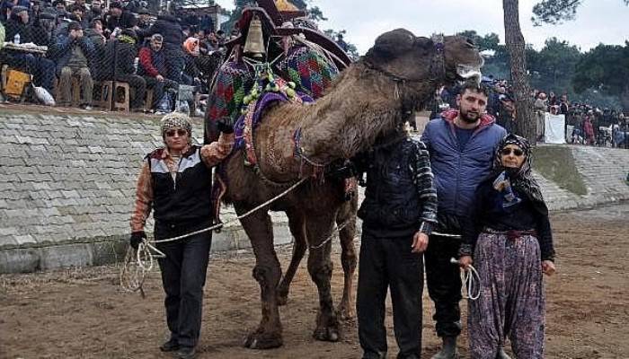 Deve Güreştiricisi Anne ve Kız, Güreşlerin İlgi Odağı Oldu