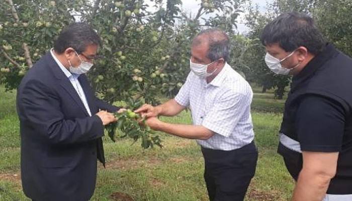 Bayramiç'te Dolu Yağışı; 10 Bin Dönüm Tarım Arazisi Zarar Gördü