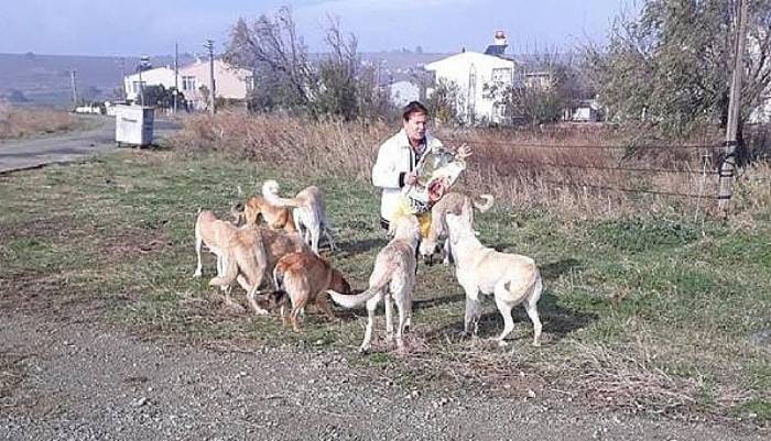 Sokak Sokak Gezerek Köpekleri Besliyorlar