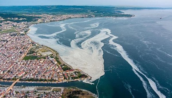 Marmara'yı Saran Deniz Salyası Kabusu Ege'ye İlerliyor!