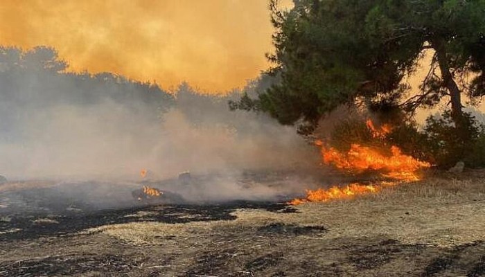 Çanakkale’de Orman Yangını