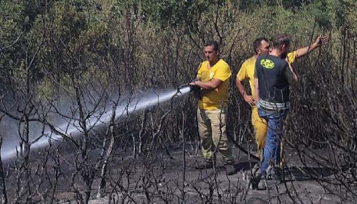 Çanakkale'de Orman Yangını