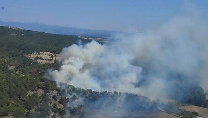 Ezine'de Orman Yangını 