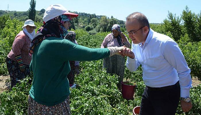 Tüm Çiftçilerimizin Dünya Çiftçiler Günü Kutlu Olsun