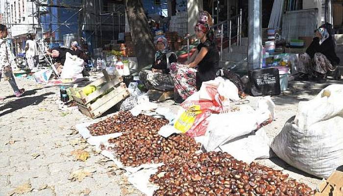 Kazdağı Kestanesi, Geçim Kaynakları Oldu