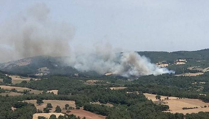 Çanakkale'de Orman Yangınında 3 Hektar Ormanlık Alan Zarar Gördü