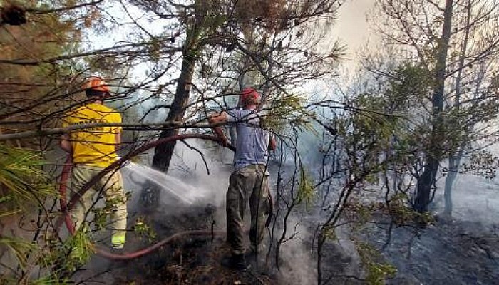 Ezine'de Orman Yangını Kontrol Altında