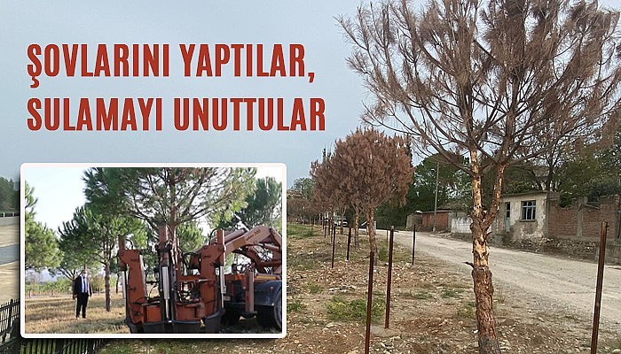 Şovlarını Yaptılar, Sulamayı Unuttular