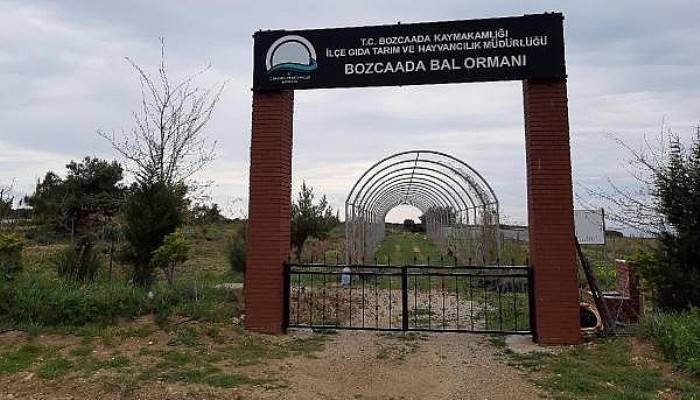 Ege'nin Turizm Cenneti Bozcaada, 'Yeşil Ada' Oluyor