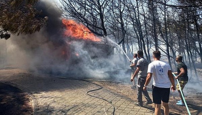 Bozcaada'da Orman Yangını