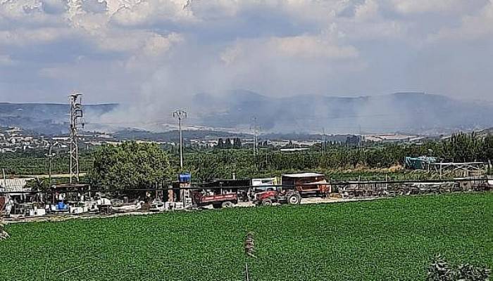 Çanakkale'de Orman Yangını