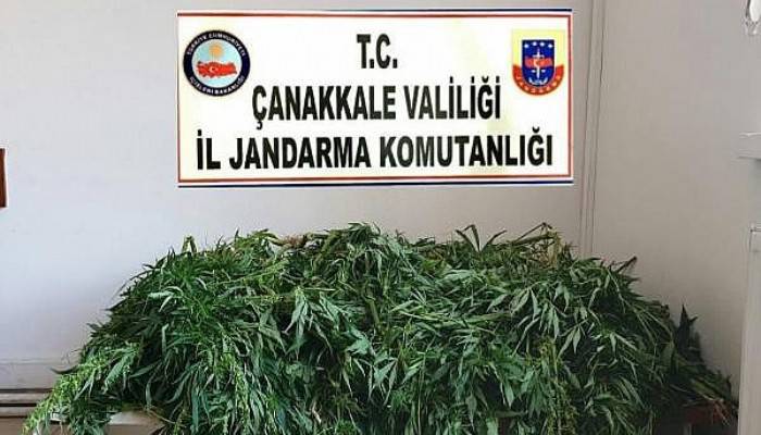 Uyuşturucu Operasyonu: 1 Gözaltı