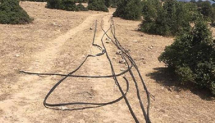 Ayvacık'ta 930 Bin TL'lik Kablo Çalan 3 Kişi Yakalandı