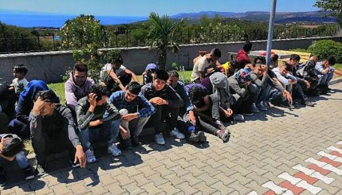 Ayvacık'ta 80 Kaçak Göçmen Yakalandı