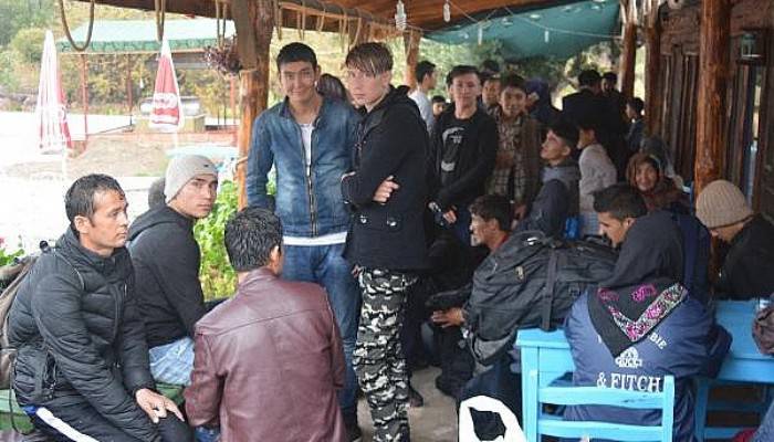Çanakkale’de 57 Kaçak Göçmen Yakalandı
