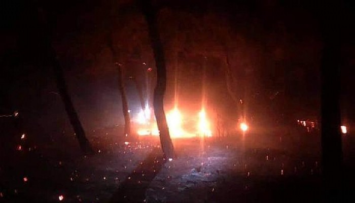 Ezine'de 10 Dönüm Ormanlık Alan Yangından Zarar Gördü