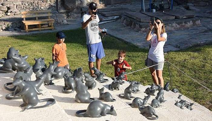 'Apollon Smintheus Tapınağı'nda Ziyaretçileri Fareler Karşılıyor