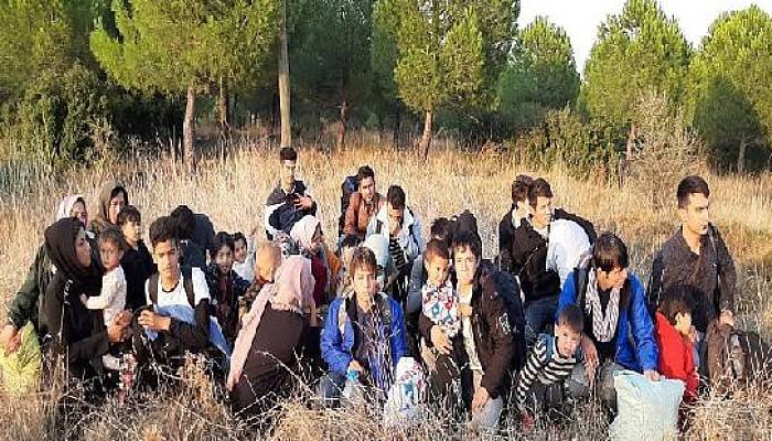 Çanakkale'de 135 Kaçak Göçmen Yakalandı, 1 Organizatör Tutuklandı