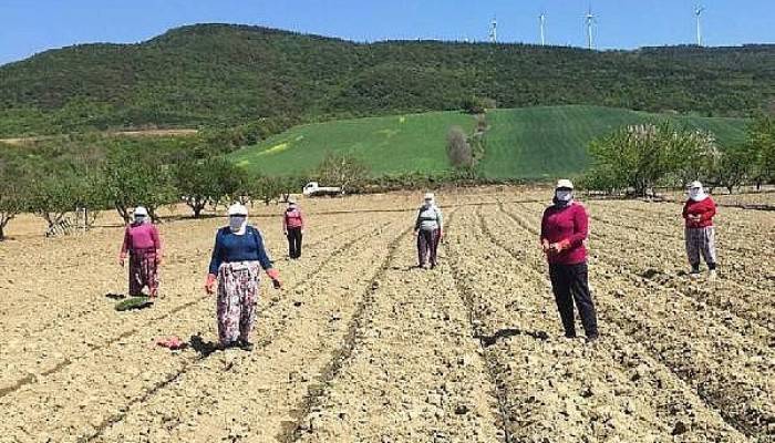 Koronavirüs Tedbirleri Arasında Üretime Devam Ediliyor