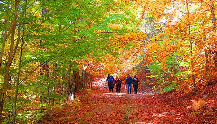 Kazdağları Sonbaharda Bir Başka Güzel