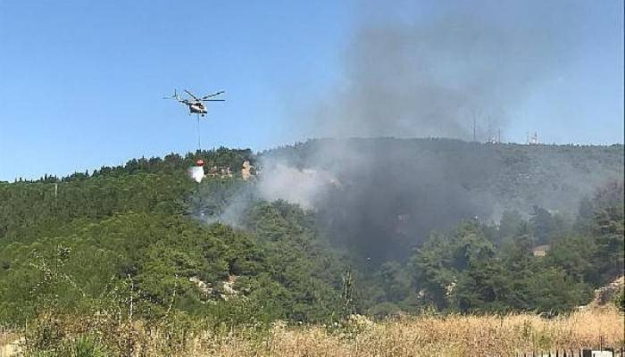 Çanakkale'de Orman Yangını