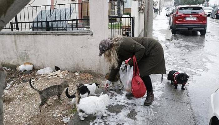 Bere ve Çanta Örerek Sokak Hayvanlarını Besliyor