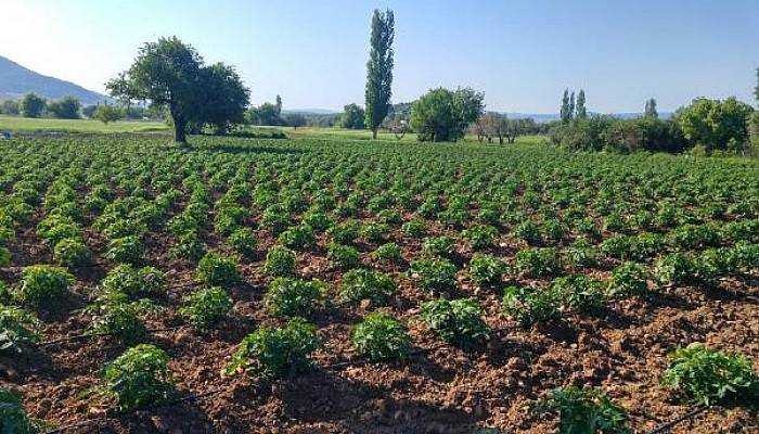 Çanakkale'de, 265 Bin Dekar Tarım Arazisi Sulandı