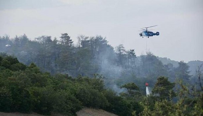 Çanakkale'deki Orman Yangını 16 Saat Sonra Kontrol Altında