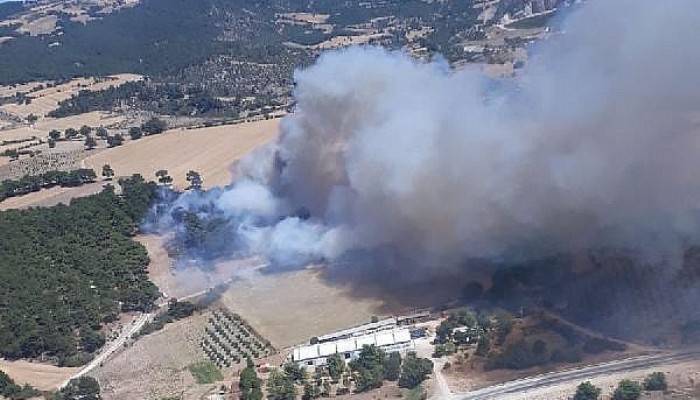 Çanakkale'de Orman Yangını 