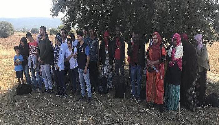 Çanakkale’de 353 Kaçak Göçmen ve 8 Organizatör Yakalandı