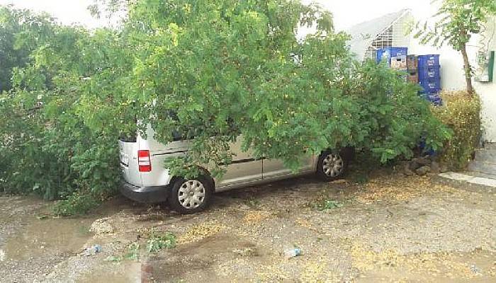 Gelibolu'da Sağanak, Dolu ve Rüzgar Yaşamı Olumsuz Etkiledi