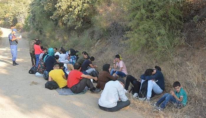 Ayvacık'ta Zeytinliklerde 40 Kaçak Göçmen Yakalandı