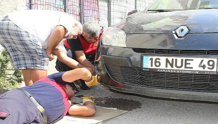 Otomobil Tekerleğine Sıkışan Yavru Kediyi İtfaiye Kurtardı