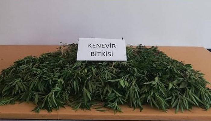Üç İlçede Uyuşturucu Operasyonu