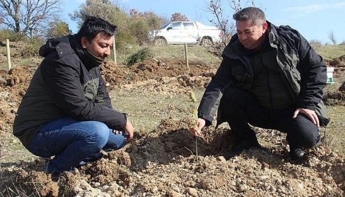 Kazdağları Eteklerine Trüf Mantarı Bahçesi