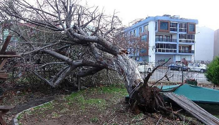 Çanakkale'de Lodos Yaşamı Olumsuz Etkiledi