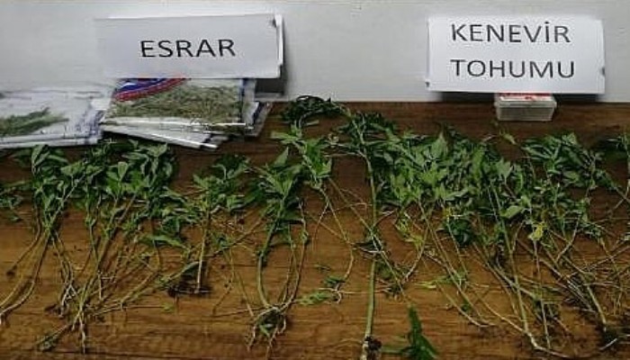 Uyuşturucu Operasyonlarına 2 Tutuklama
