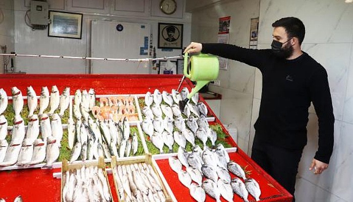 Çanakkaleli Balıkçılar Açılamadı, Tezgahta Çeşitlilik Azaldı