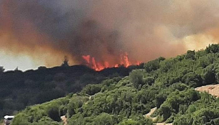 Aynı Bölgede Son Bir Ayda 10'uncu Orman Yangını