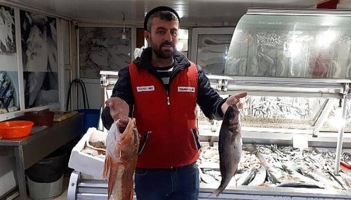 Amatör Balıkçı Oltayla Levrek ve Kırlangıç Yakaladı
