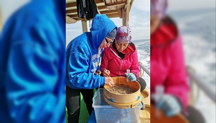 Yeşil Deniz Kaplumbağalarının Denizel Yaşamı Doğu Akdeniz'de Araştırıldı