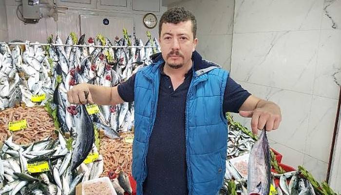 Palamut Azaldı Fiyatı 15 Liradan, 25 Liraya Çıktı