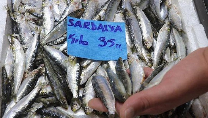 Çanakkale’de Av Sezonu Açıldı, Sardalyanın Kilosu 35 Liraya Düştü