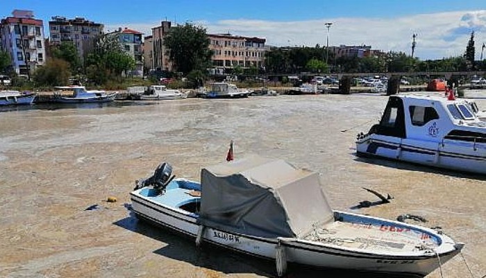 Çanakkale Boğazı'ndan Sonra Sarıçay da Müsilaj İle Kaplandı