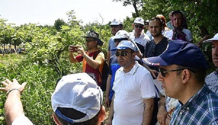 Biga'da Nilüfer Gölü Şenliği ve Doğa Yürüyüşü Düzenlendi