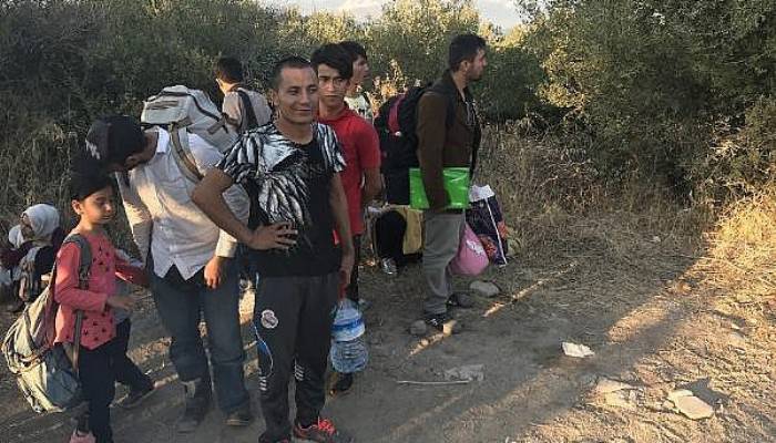 Ayvacık'ta 42 Kaçak Göçmen Yakalandı